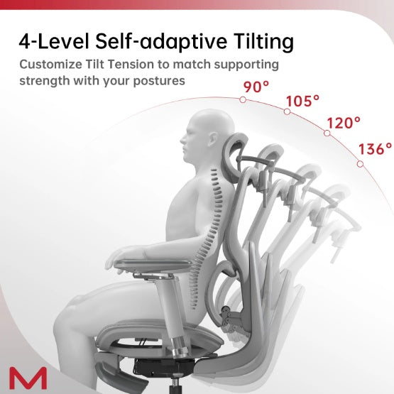 STUDEO Elite Ergonomic Office Chair — Adaptive Lumbar & Footrest