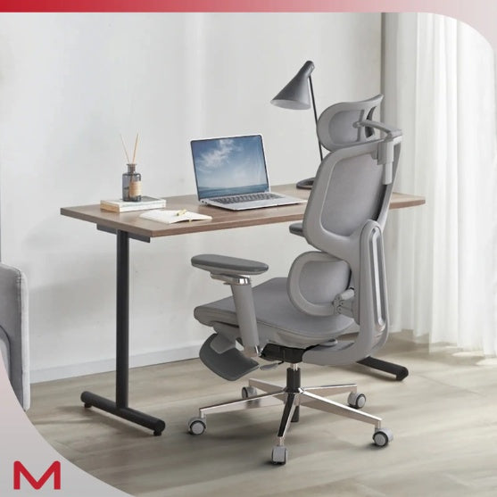 STUDEO Elite Ergonomic Office Chair — Adaptive Lumbar & Footrest
