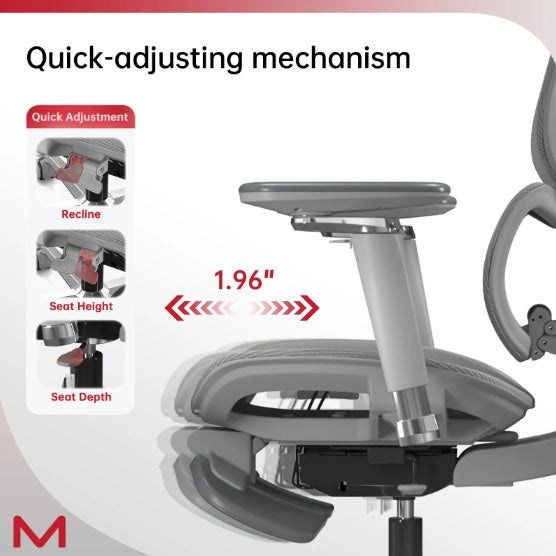 STUDEO Elite Ergonomic Office Chair — Adaptive Lumbar & Footrest