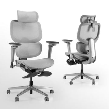 STUDEO Elite Ergonomic Office Chair — Adaptive Lumbar & Footrest