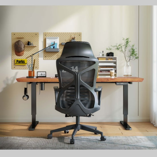 STUDEO Ergonomic Mesh Office Chair