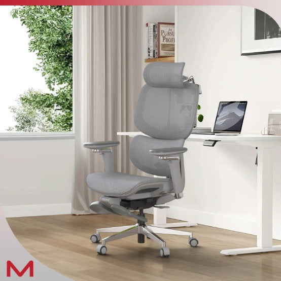 STUDEO Elite Ergonomic Office Chair — Adaptive Lumbar & Footrest